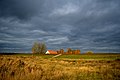 Flusslandschaft Elbe - Zwischen Privelack und Darchau,11-2016