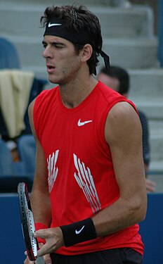 Juan Martín del Potro simplu masculin