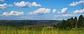 Paisagem típica na localidade Guartelá.