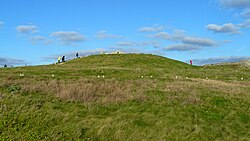 Image illustrative de l’article Dolmen de la pointe de la Torche