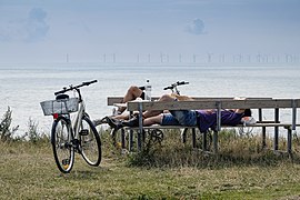 Cyklister vindkraftverk Lolland 20140805 0107-3 (16612085302).jpg