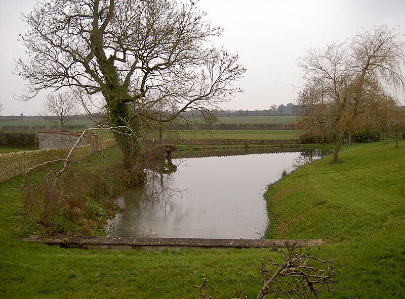 File:Farm pond - geograph.org.uk - 4859337.jpg