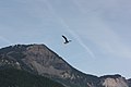 Bonneville Dam