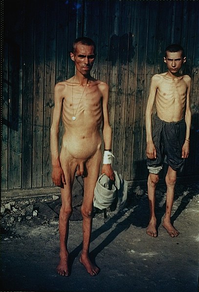 File:Two naked survivors at Mauthausen.jpg