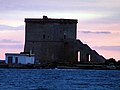 La torre vista da lontano