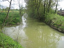 la Sâne Vive à Montpont-en-Bresse.