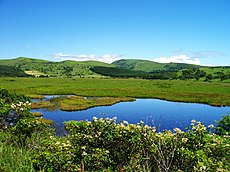 八島ヶ池