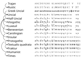 Forenklet oversikt over forholdet mellom ulike historiske skrifttyper. Uncial-skriften utviklet seg fra romersk (Trajan) og gresk uncial (Greek Uncial) og dannet grunnlag for karolingisk minuskel (Caroline) som igjen videreutviklet seg til gotisk trykkskrift (Textura quadrata og Fraktur) som også ble påvirket av insulær skrift (Insular).