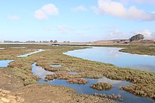 Photograph of wetland with ponds, channels, low vegetation, and hills and trees in the distance