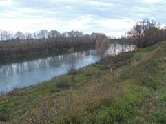 A San Martino di Venezze, località Penisola