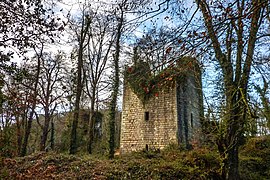 Les ruines du château de la Roche-Montbourcher (2011, Cuguen, 35) (4).jpg