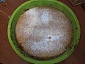 Torta Paradiso