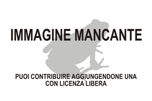 Immagine di Sparodus validus mancante