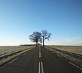 Zicht vanaf wegmidden richting De Plank