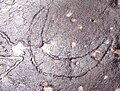 A petroglyph at Ku-ring-gai Chase National Park