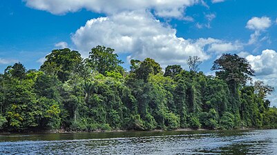 De Boven-Suriname