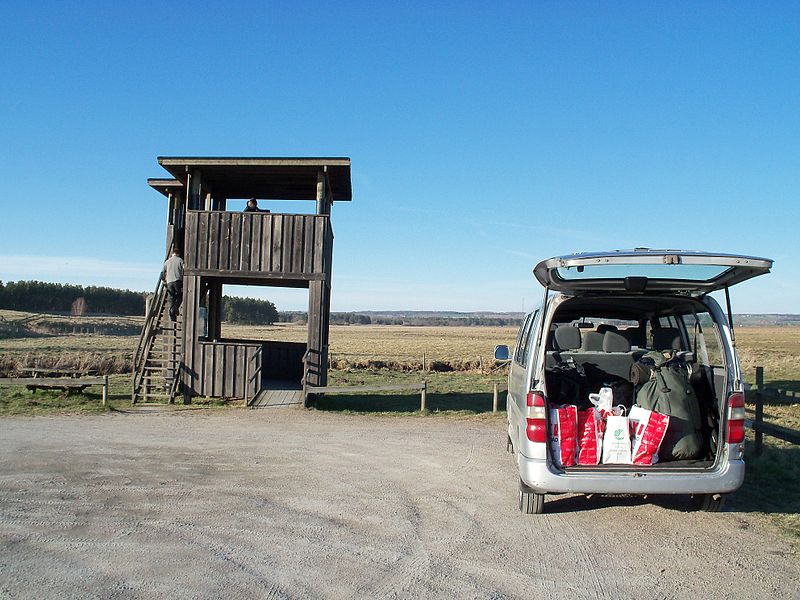 File:Birdwatching with Nature and Youth Sweden at Vombs ängar, April 2012-1.jpg