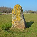 Menhir de Pierre-Bonde.