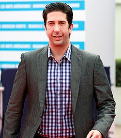 David Schwimmer 2011.