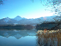 English: Lake Faak (shot from the Villach part of the lake) Deutsch: Faaker See (vom Villacher Seeteil gesehen)