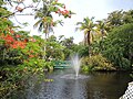 The Garden of the Groves, en Gran Bahama