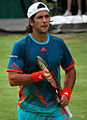 Q191740 Fernando Verdasco geboren op 15 november 1983