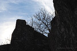 L'arbre entre les ruines.JPG