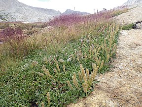 Southeast California