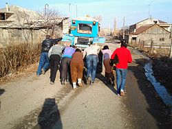 روستای آخوریک