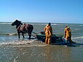 Krabbenfischer, Oostduinkerke