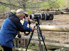 Professional photographer taking nature photos at the zoo.