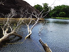 Polonnaruwa landscape 2.jpg