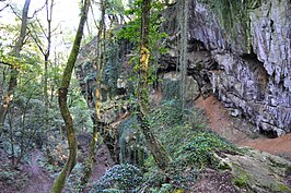 Grottes Schmerling