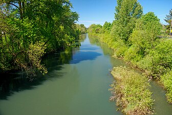 Yamhill River at Sheridan, Oregon, 2010.