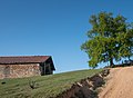 * Nomination Abandoned farm building in Ascain, Basque Country, France --Basotxerri 14:55, 3 May 2017 (UTC) * Promotion Nice picture! Unfortunately, the tree is trimmed to the right.--Famberhorst 15:49, 3 May 2017 (UTC) It's true, the composition could be better... --Basotxerri 18:39, 3 May 2017 (UTC)