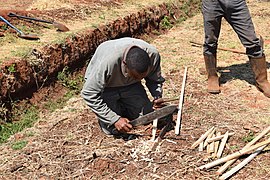 Cultivator cutting pieces of wood.jpg