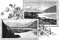 File:Die Gartenlaube (1898) b 0339_1.jpg Zell am See. Zell am See und steinernes Meer Würthle und Sohn Salzburg