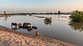 "Don_Puay_river_bank_landscape_at_sunset.jpg" by User:Basile Morin