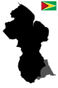 Guyana Outline Map Country Shape Black With Flag.png