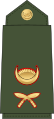 Lieutenant Nepali: उपसेनानी, romanized: Upasēnānī (Nepali Army)[56]