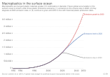 Plastic bags are an example of macrodebris.