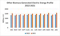 Other Biomass Generated Electric Energy Profile 2022–2021