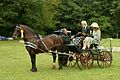 A Welsh Section D pulling a carriage.