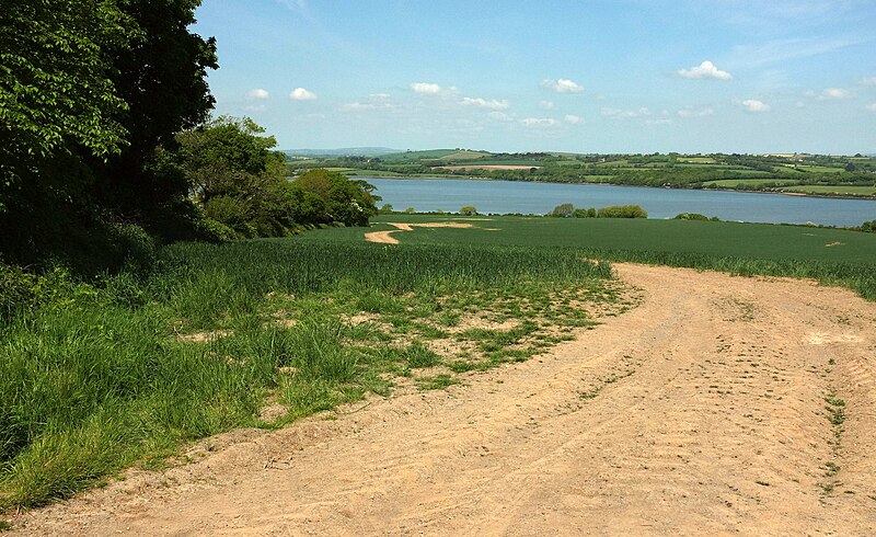 File:Field by the St Germans River - geograph.org.uk - 5782889.jpg