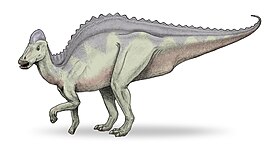 Hypacrosaurus