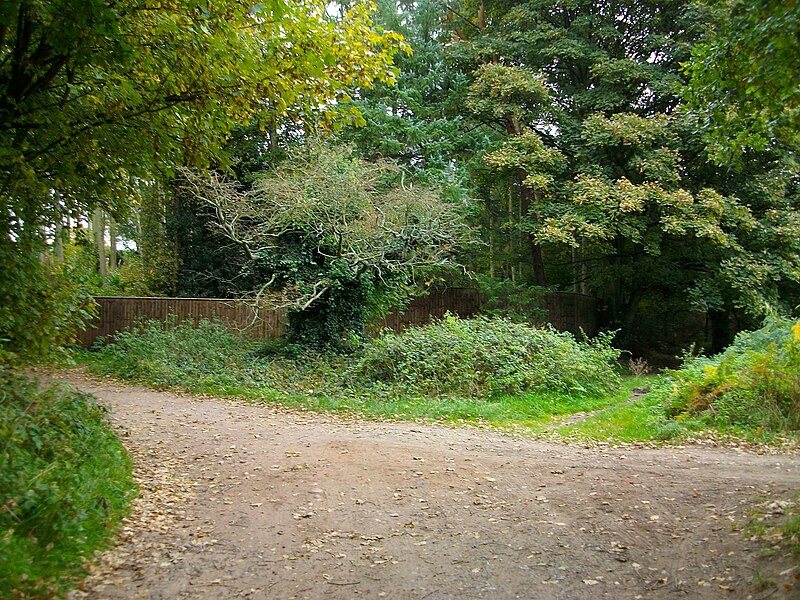 File:Junction of paths - geograph.org.uk - 5178209.jpg