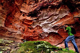 Geoparque Araripe, o primeiro nas Américas reconhecido pela UNESCO