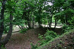 玄蕃尾城の土塁と空堀