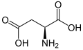 L-Aspartic acid (Asp / D)