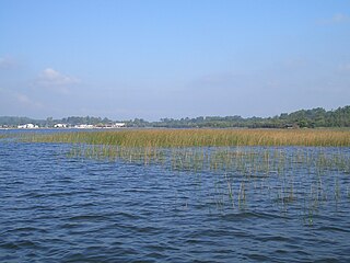 Berges du lac